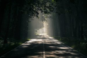 3 Routes for a Bangalore to Wayanad Road Trip