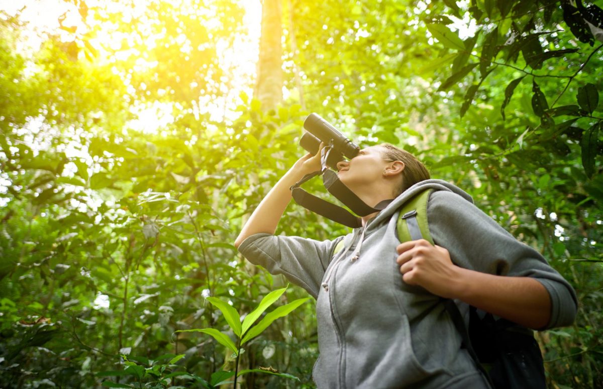 BIrd watching locations Archives Raindrops Resort