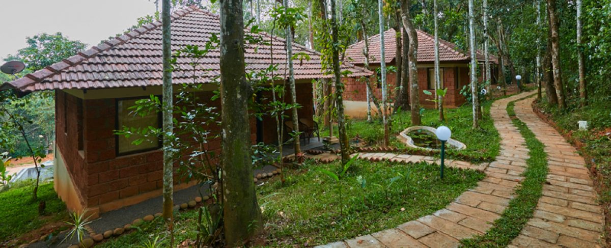 Ultimate Summer Getaway: Pet-Friendly Resorts in Wayanad for Families - Explore the Best Options! - Raindrops Resort