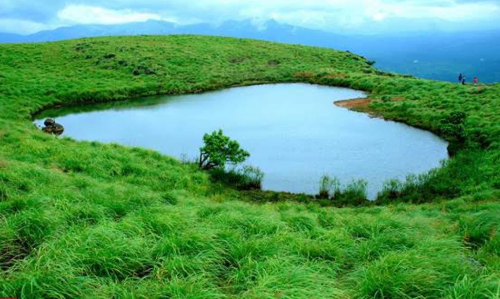 wayanad tour packages for 2 days from chennai