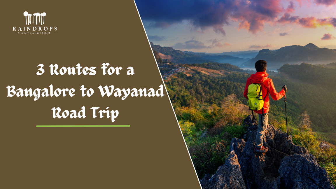 Bangalore to Wayanad