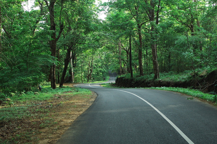 A Ride to remember: The Enchanting Bike Trails in Wayanad - Raindrops Resort