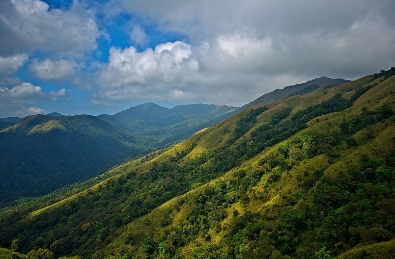 wayanad hills