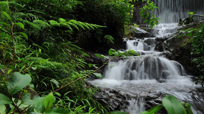 Chethalayam Waterfalls