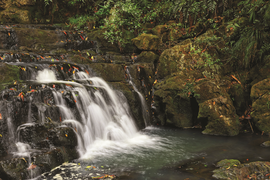 Kadachikunnu Waterfalls