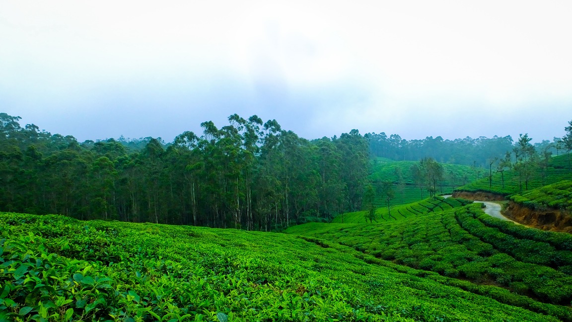 Tourist Places in Kerala