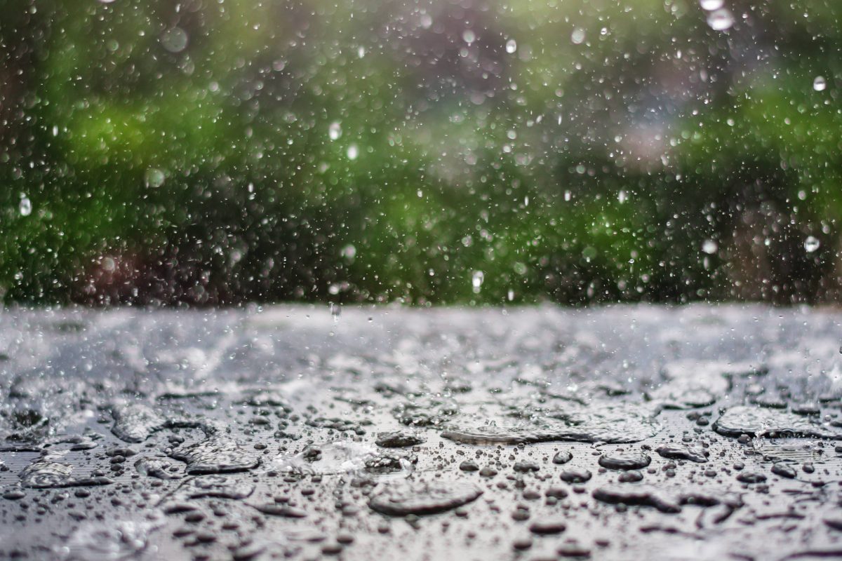 Monsoon in Wayanad: An experience you’ll never forget