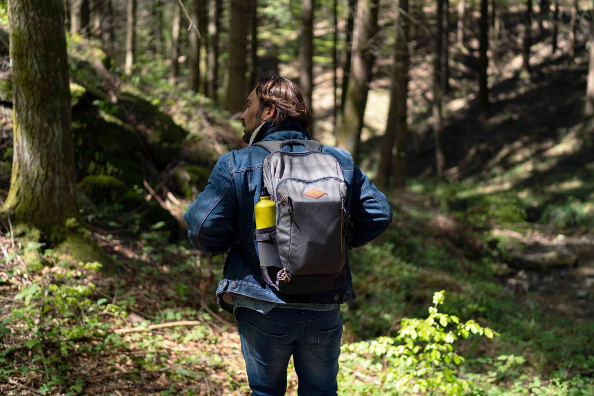 10 Must-Do Activities in Wayanad as a Backpacker