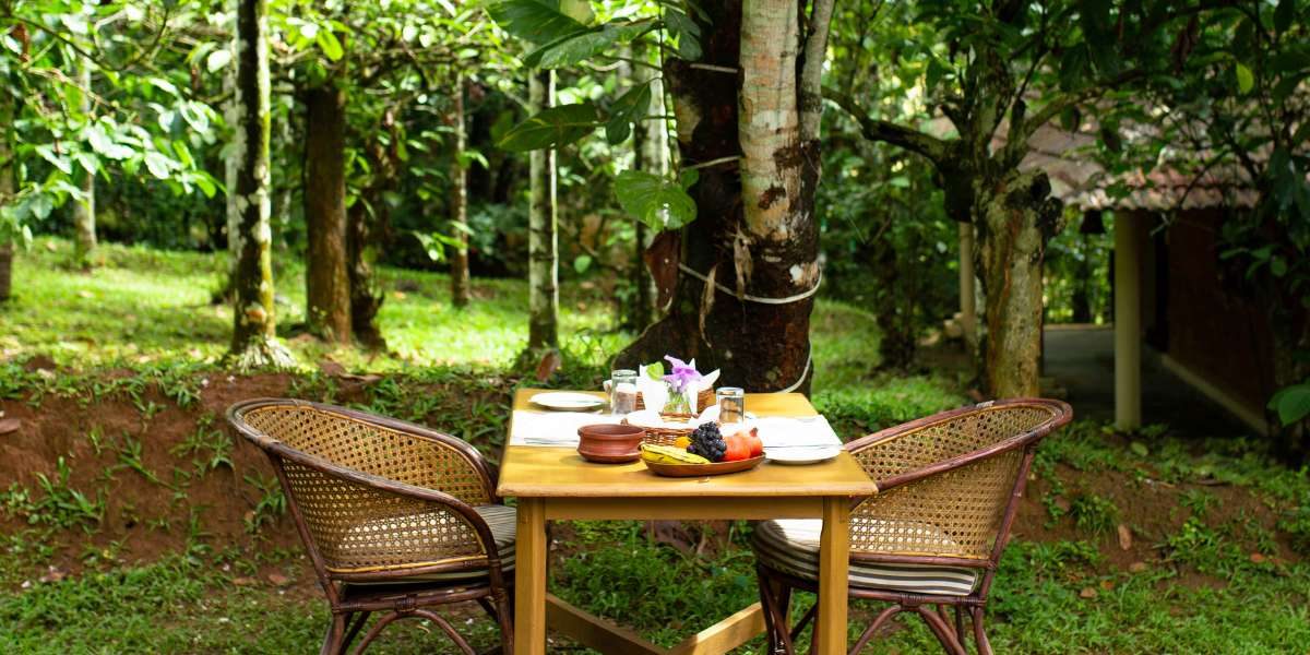 The Benefits of Greenery: The Science Behind That Sparkly Green Garden Resort