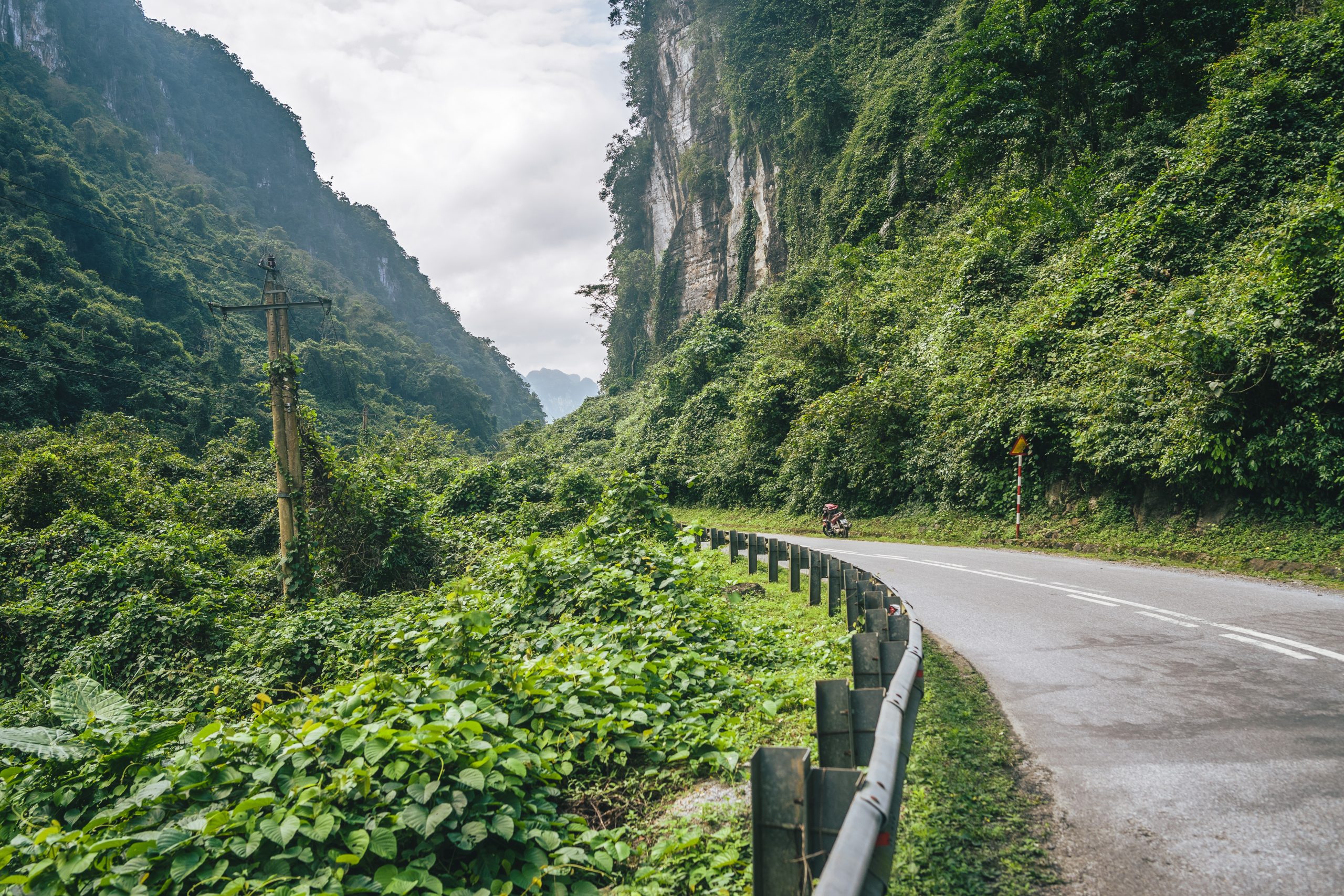 Bangalore to Wayanad Distance