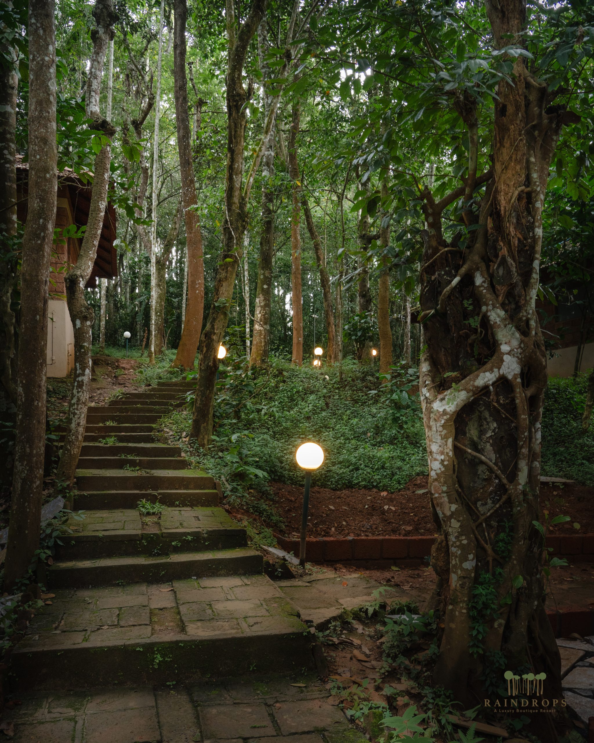 Nature Resorts in Wayanad