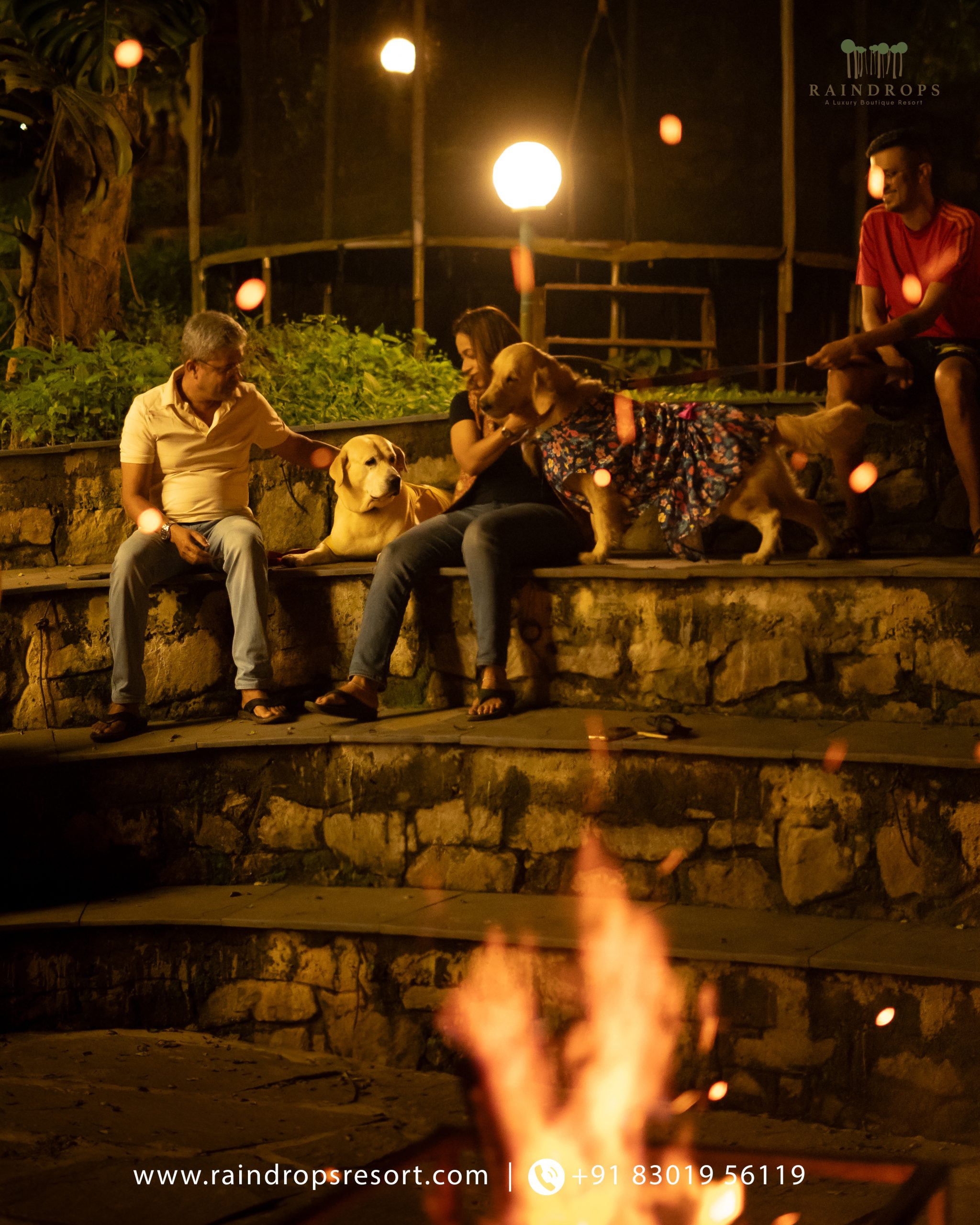 Pet Friendly Resorts in Wayanad