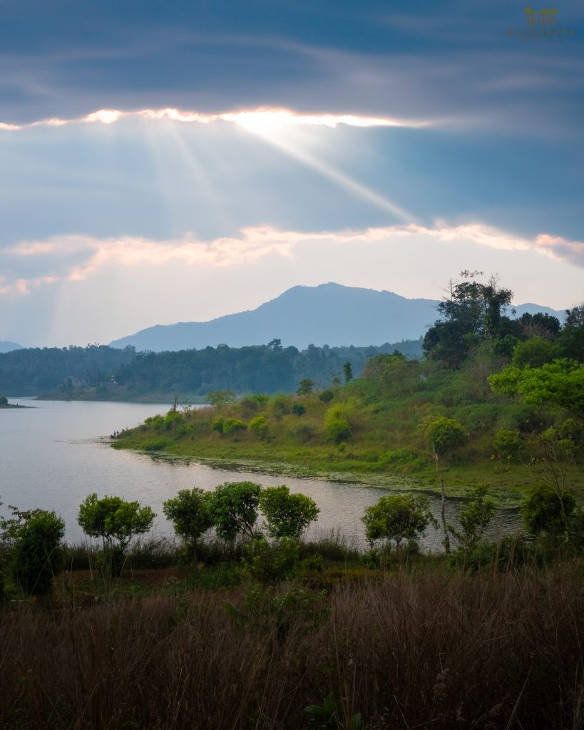 wayanad stay slow living