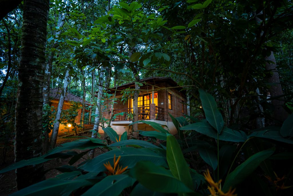 wayanad private pool resort