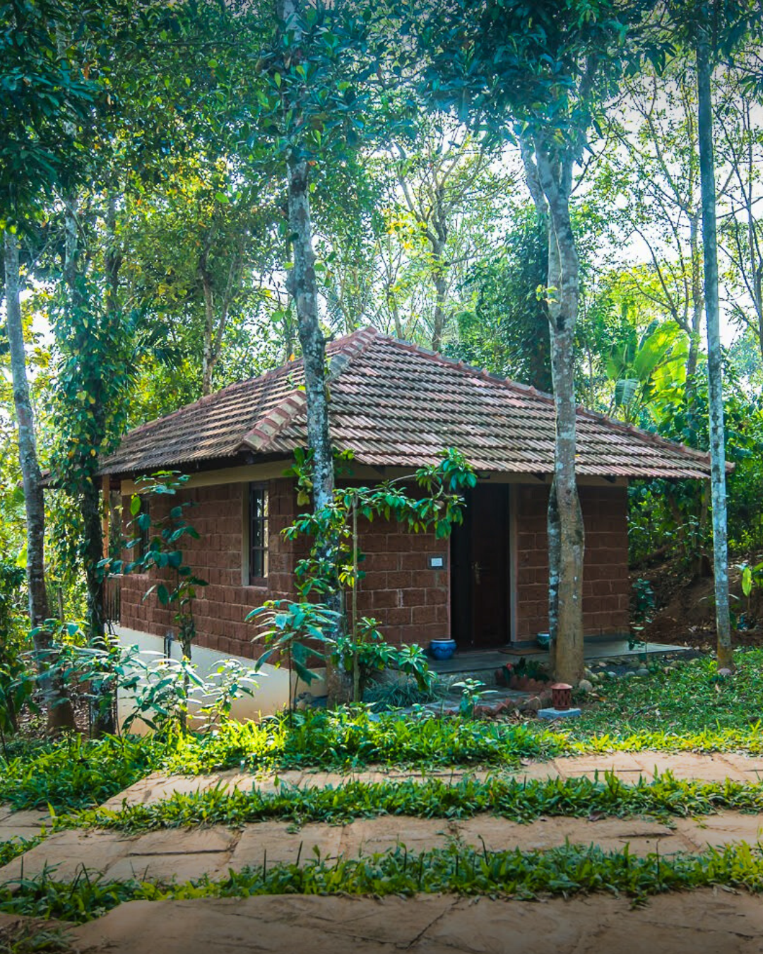 Best Resorts in Wayanad Kerala