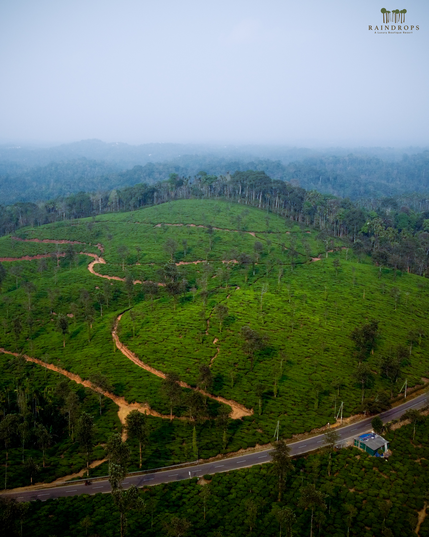 Mangalore to Wayanad Distance