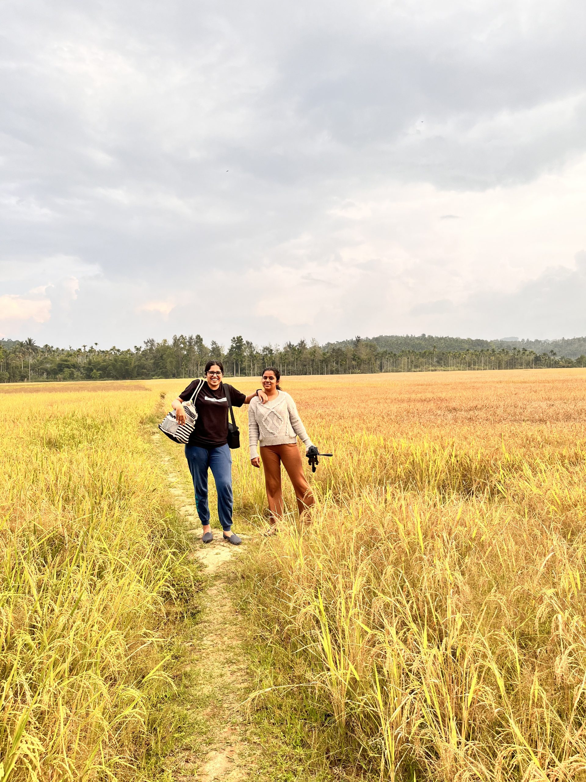 plantation walks in wayanad resorts