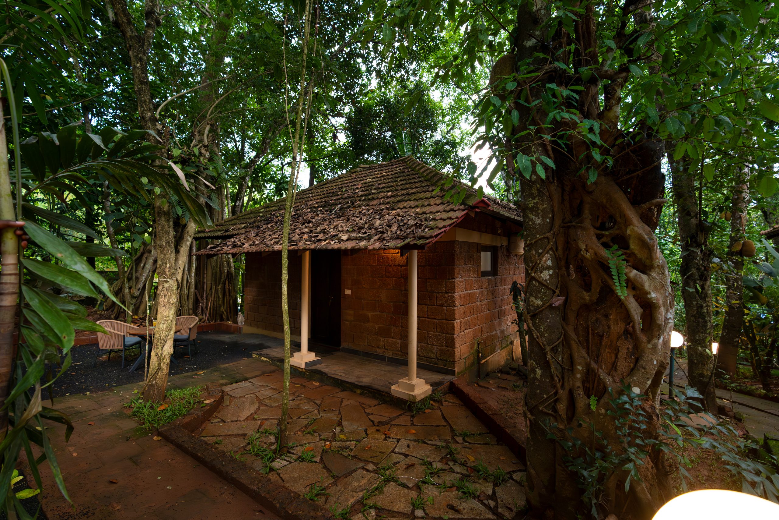 best places to stay in wayanad