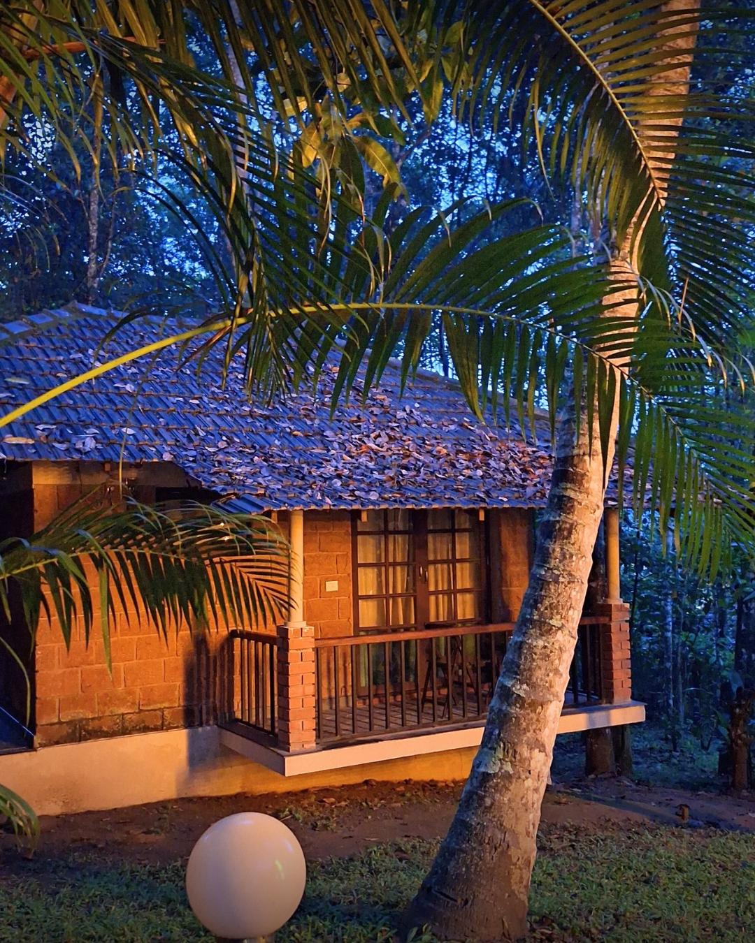 good resorts in wayanad