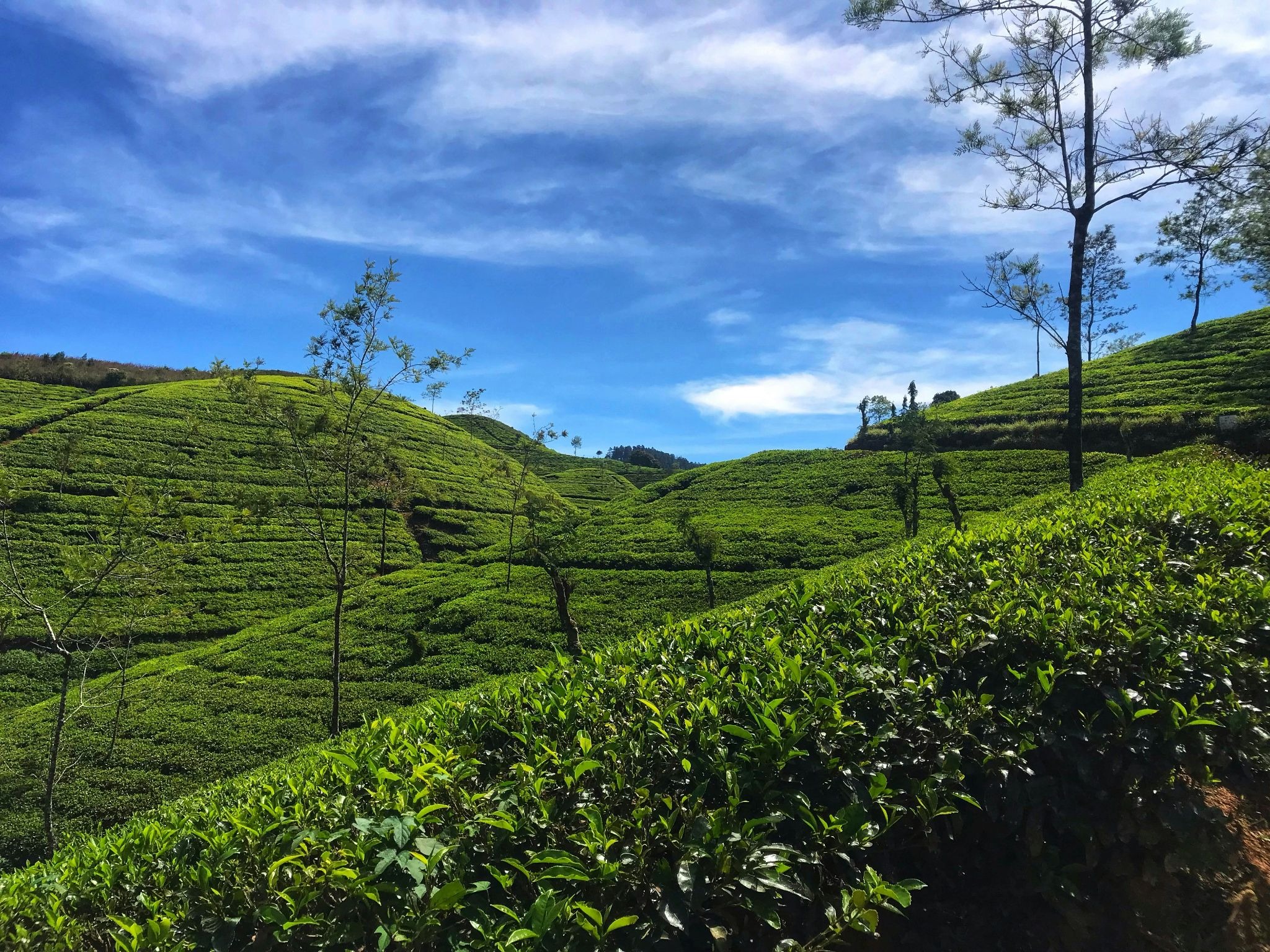 Places to Visit in South India