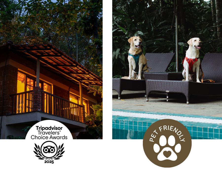 Trip Advisor Award 2025