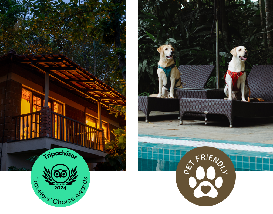 Raindrops Resort Wayanad