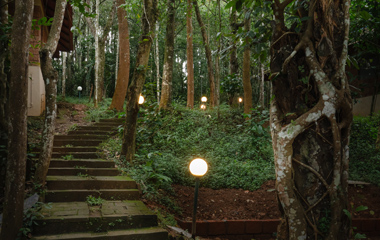Plantation and Nature