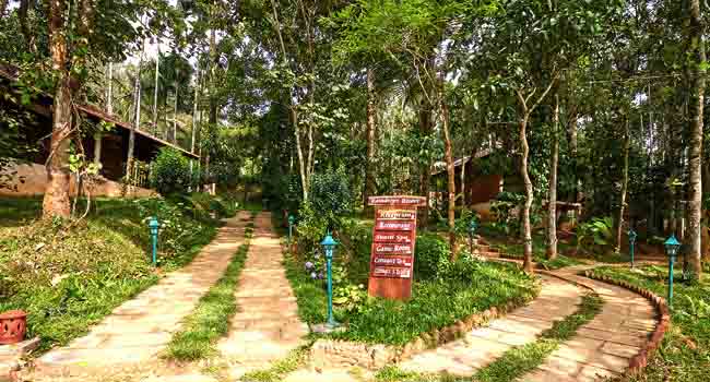 Raindrops Resort Wayanad Pathway