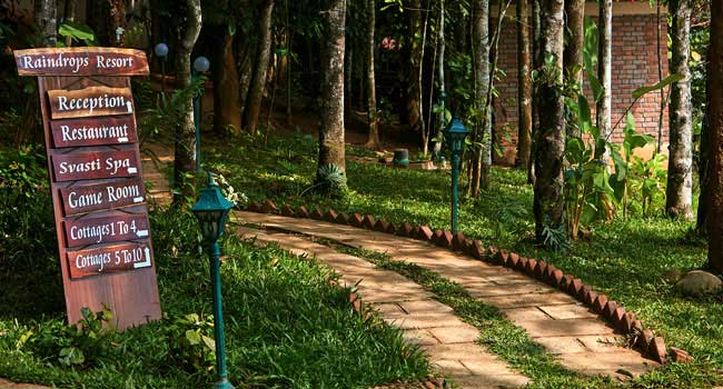 Raindrops Resort Wayanad Pathway View1
