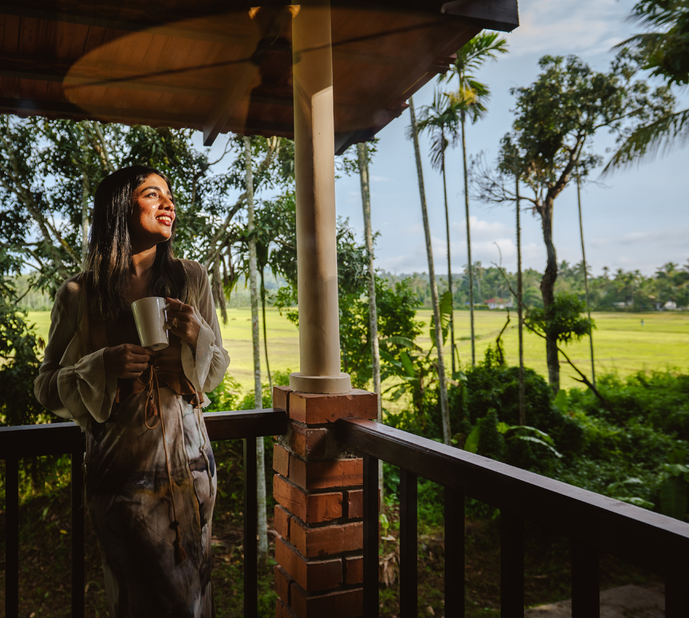 Paddy Field Views